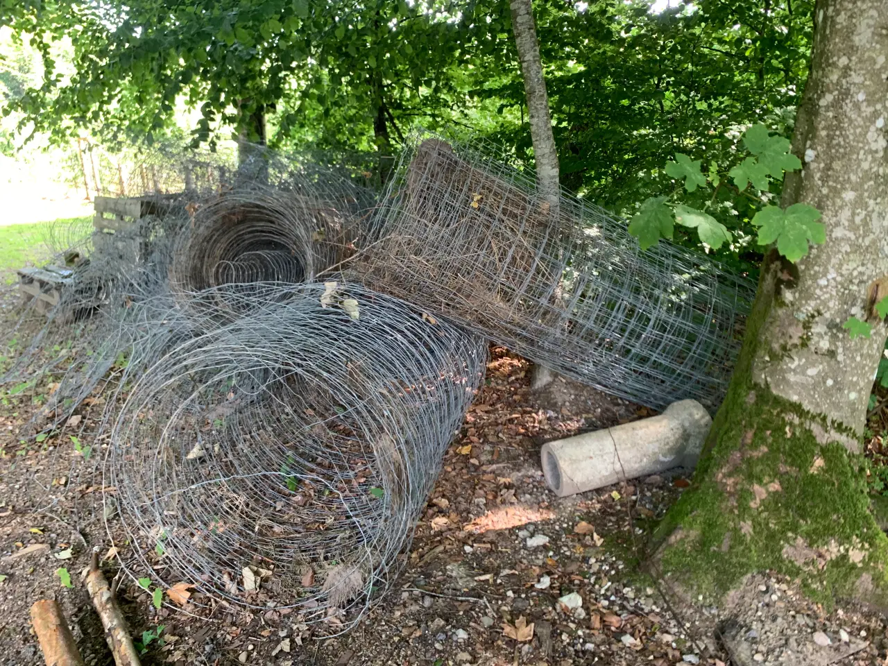 Billede 2 - Hegn