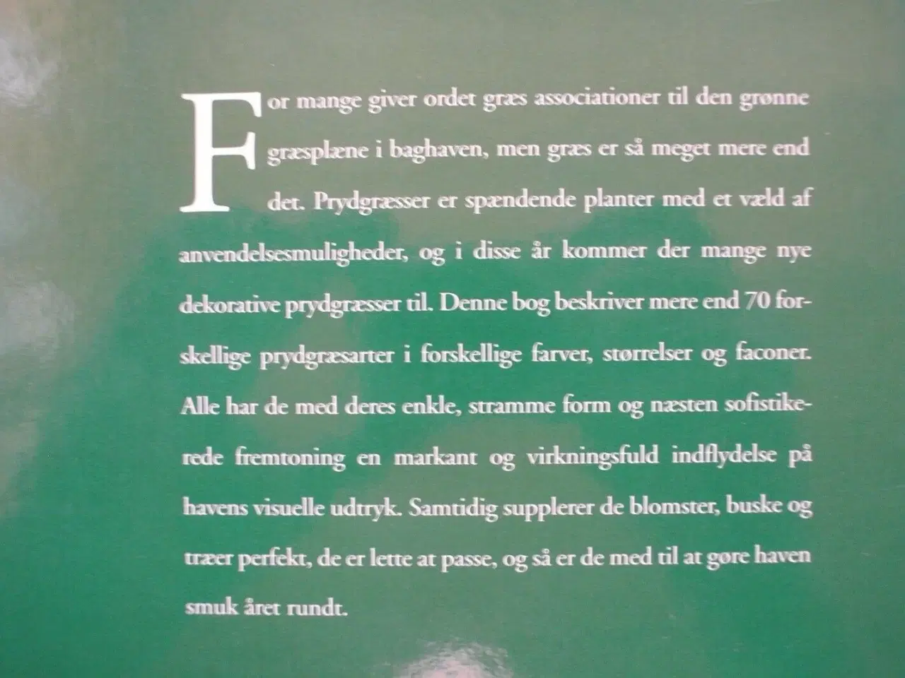 Billede 3 - prydgræsser til haven, af susanna widlundh