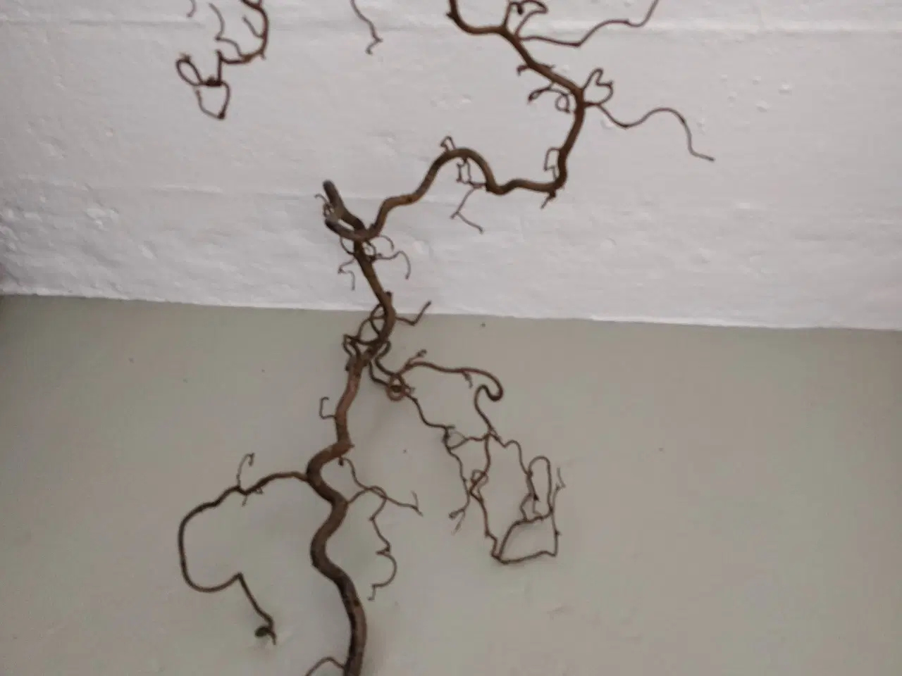 Billede 4 - Troldegren