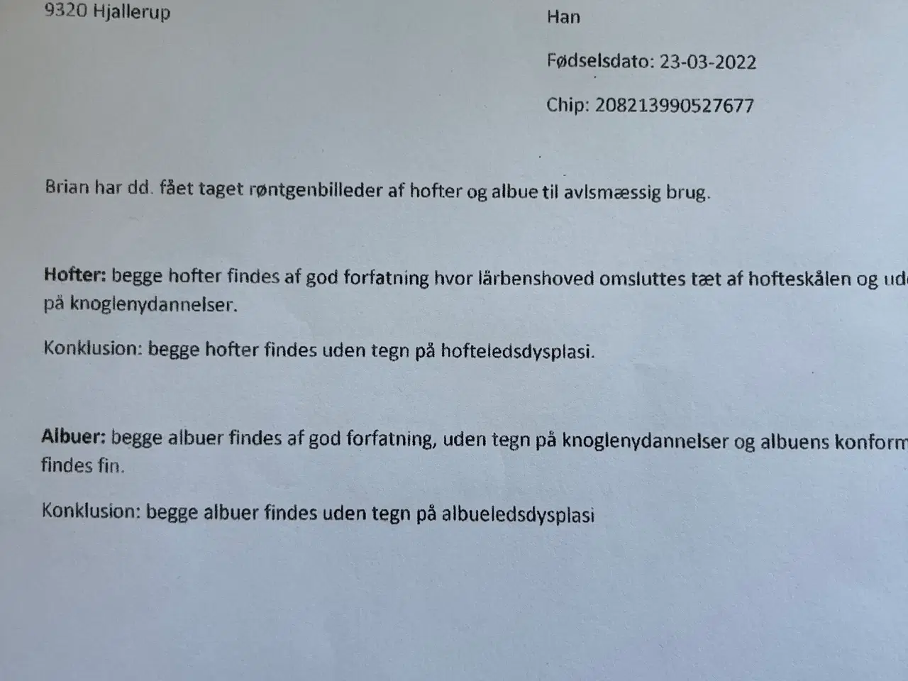 Billede 15 - Brian tilbydes til avl