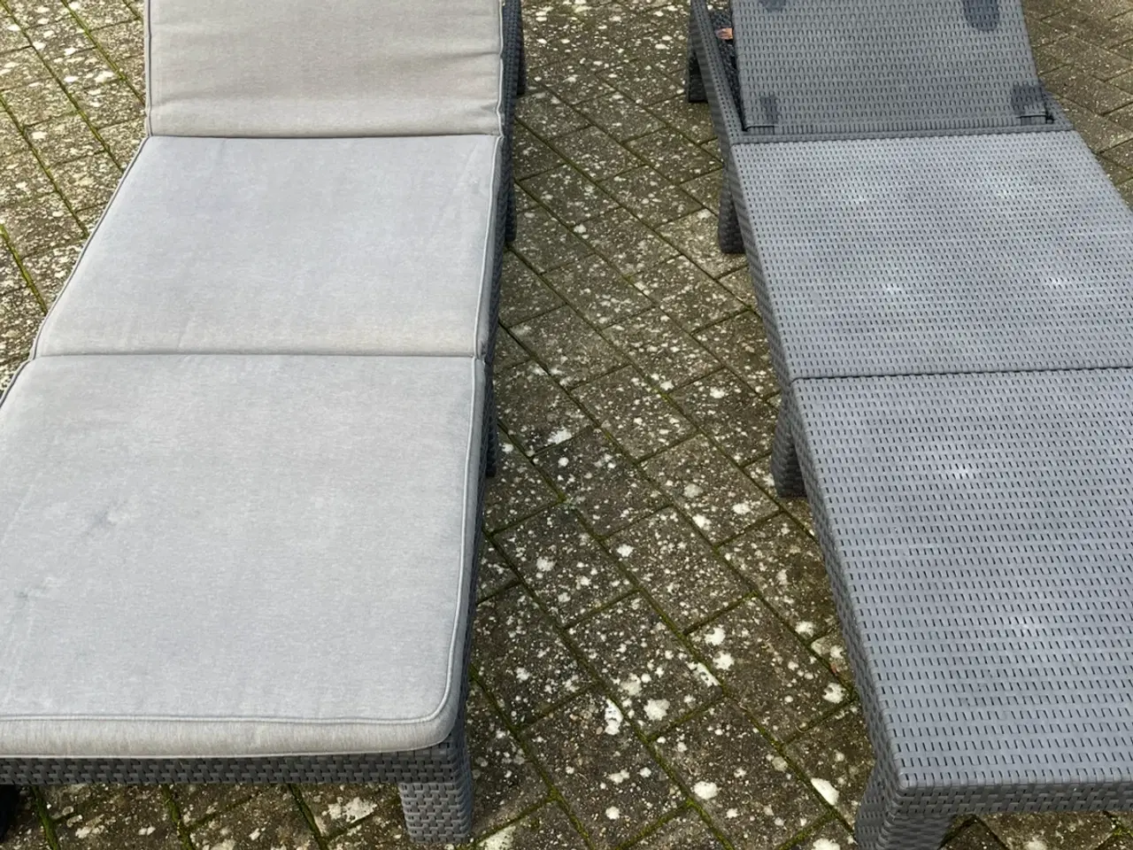 Billede 2 - Solsengen i flet