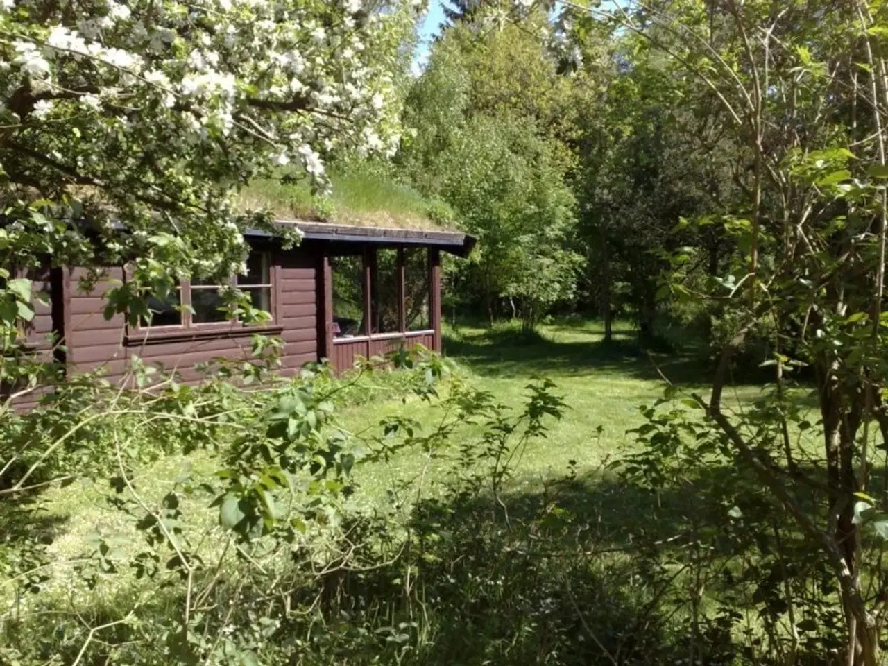 Billede 2 - Sommerhus i Nordsj�lland n�r Arres� og Tisvilde Hegn