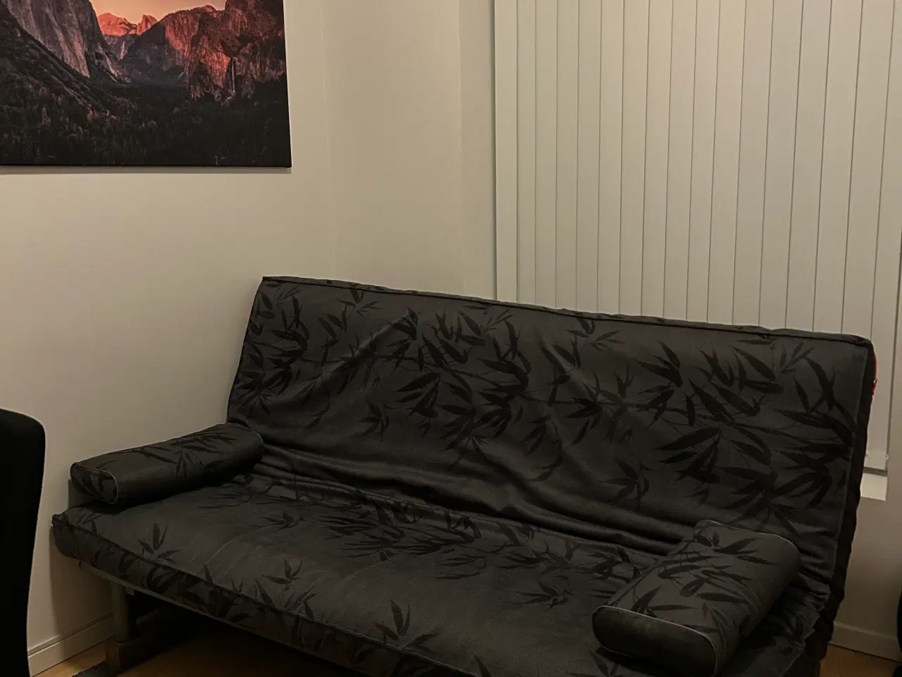 Billede 1 - Sovesofa i god stand