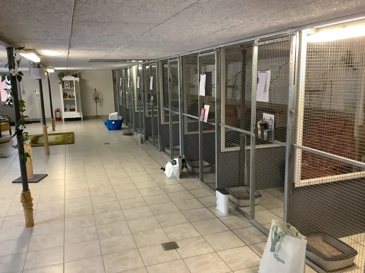 Billede 2 - Burer til kattepension sælges