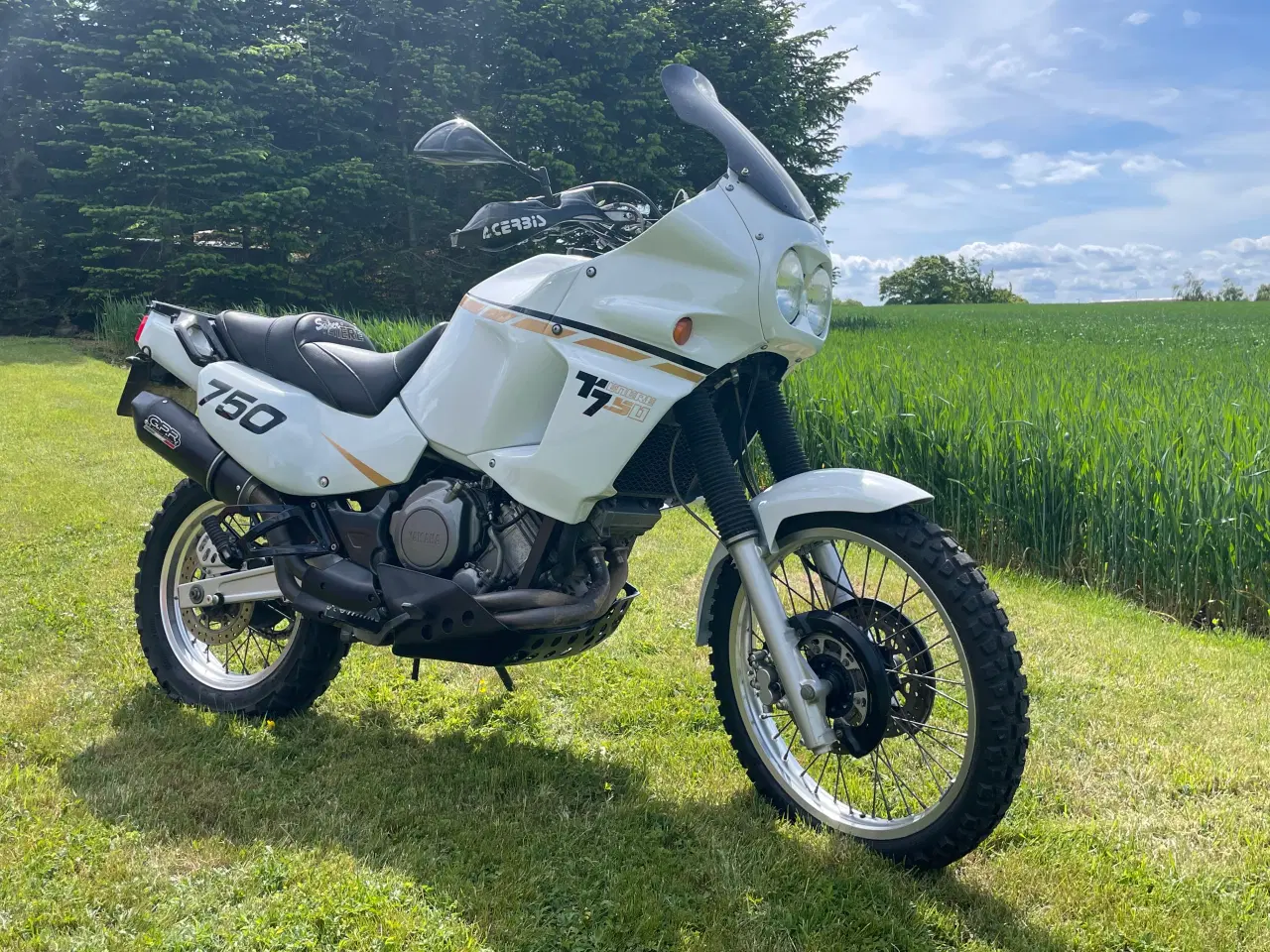 Billede 5 - Yamaha xt 750 super tenere