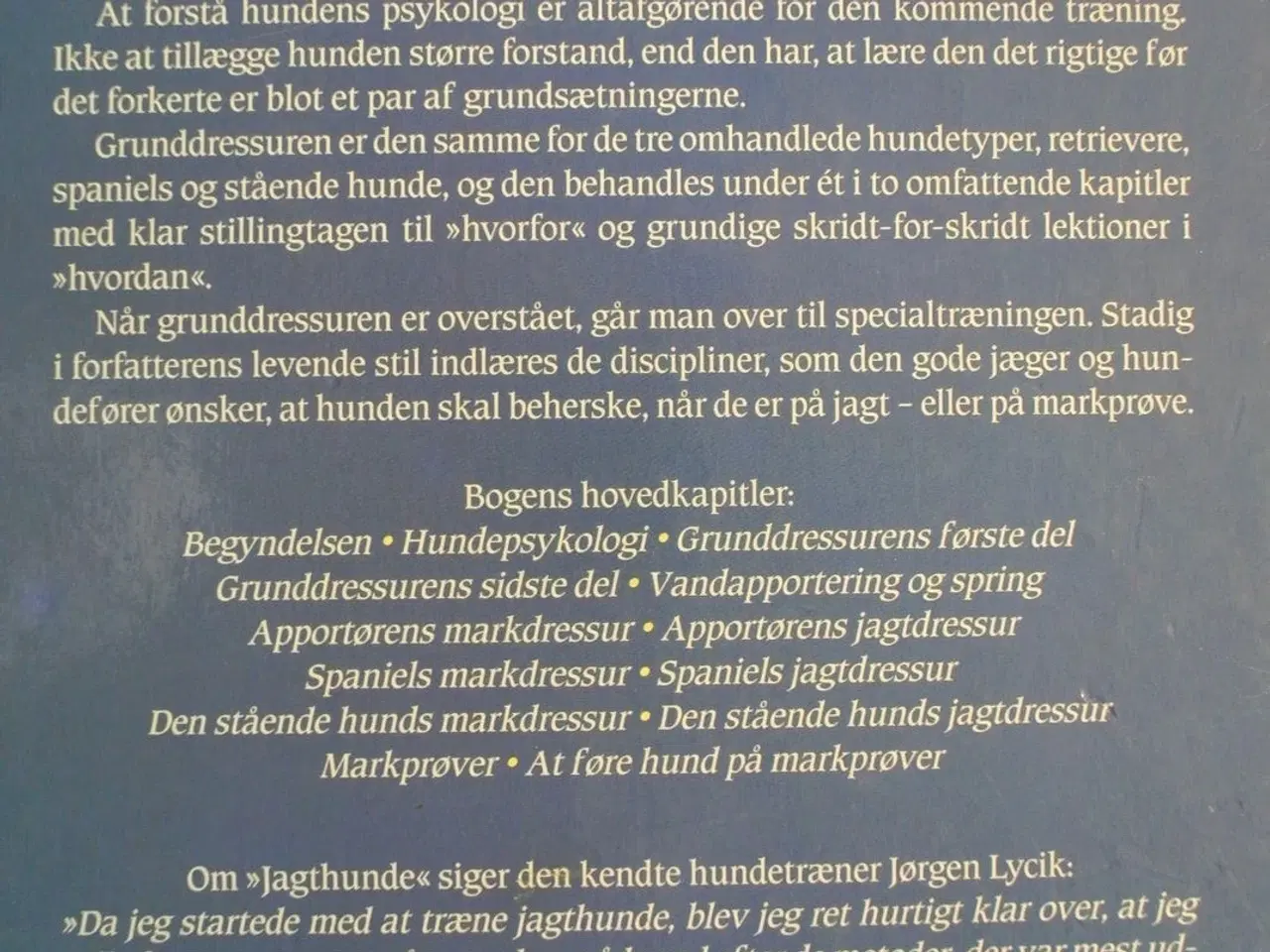 Billede 4 - jagthunde - jagt- og markprøvetræning, af p. r. a.