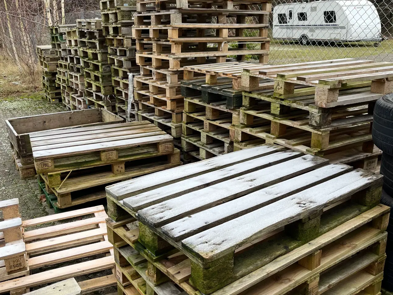 Billede 1 - Engangspaller og Europaller