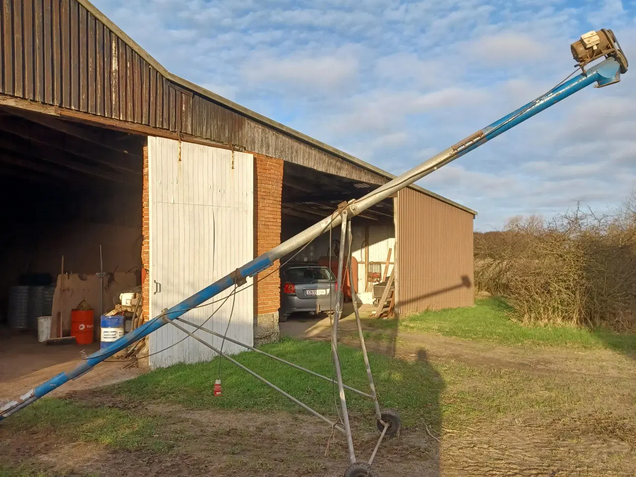 Billede 1 - Kornsnegl på kørestel