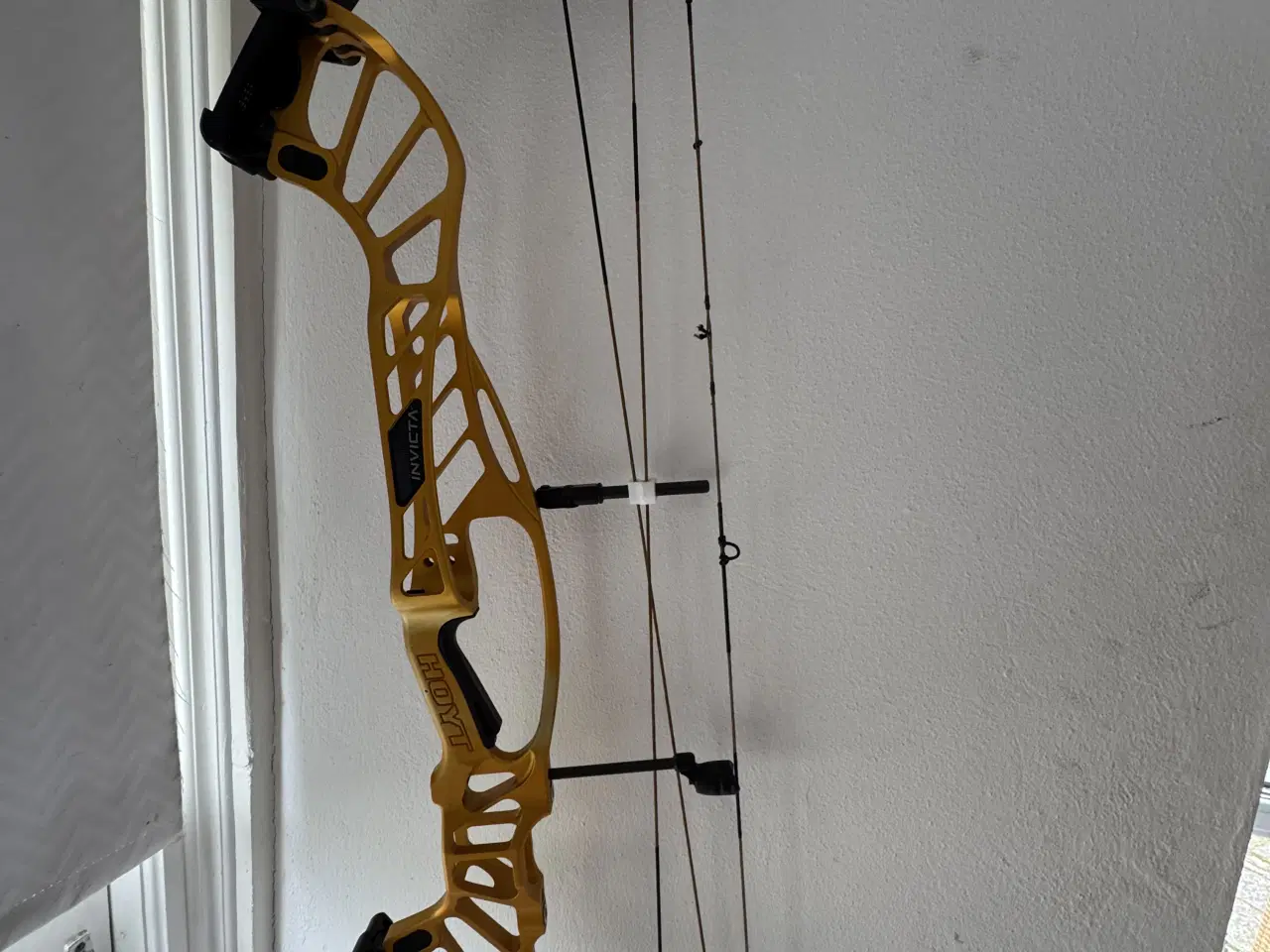 Billede 2 - Hoyt compoundbue Invicta 37