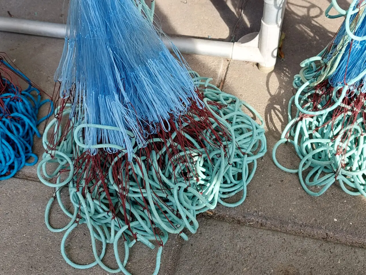 Billede 3 - Rødspætte / Skrubbegarn