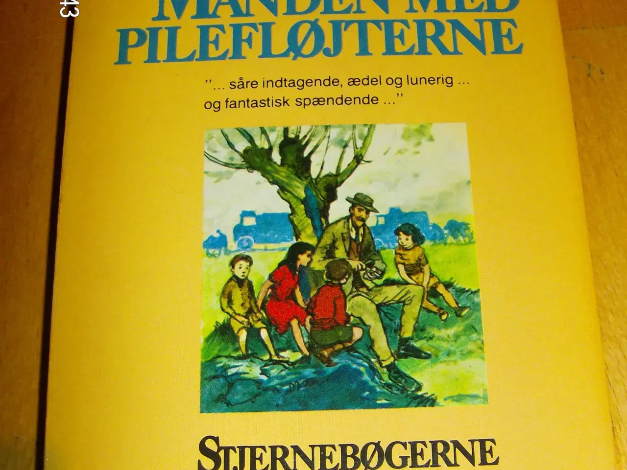 Billede 2 - Manden med pilefløjterne 