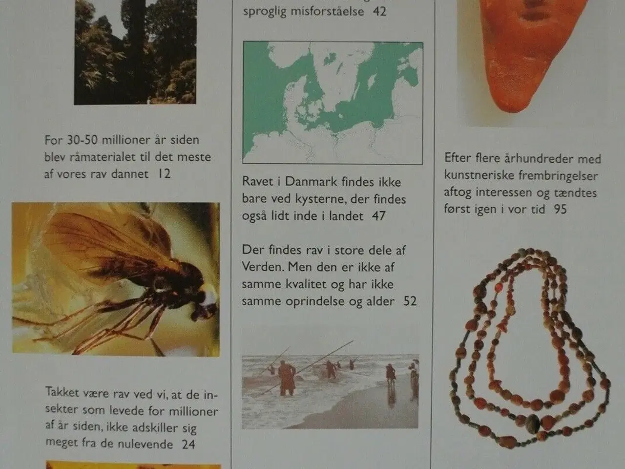 Billede 2 - rav - stenen der flyder og brænder, af åke dahlstr