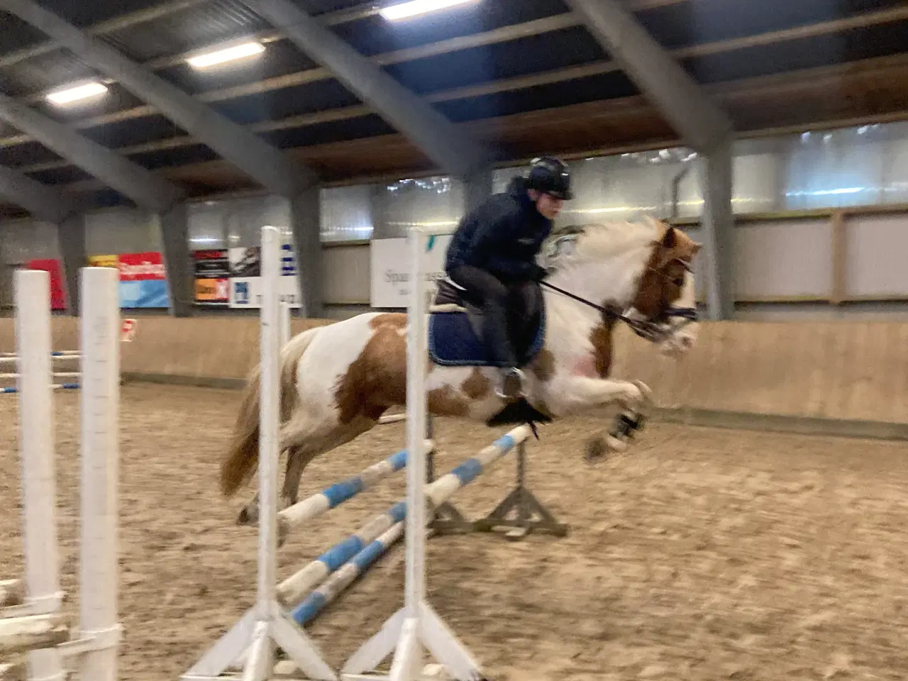 Billede 3 - Sød 2’er pony sælges 