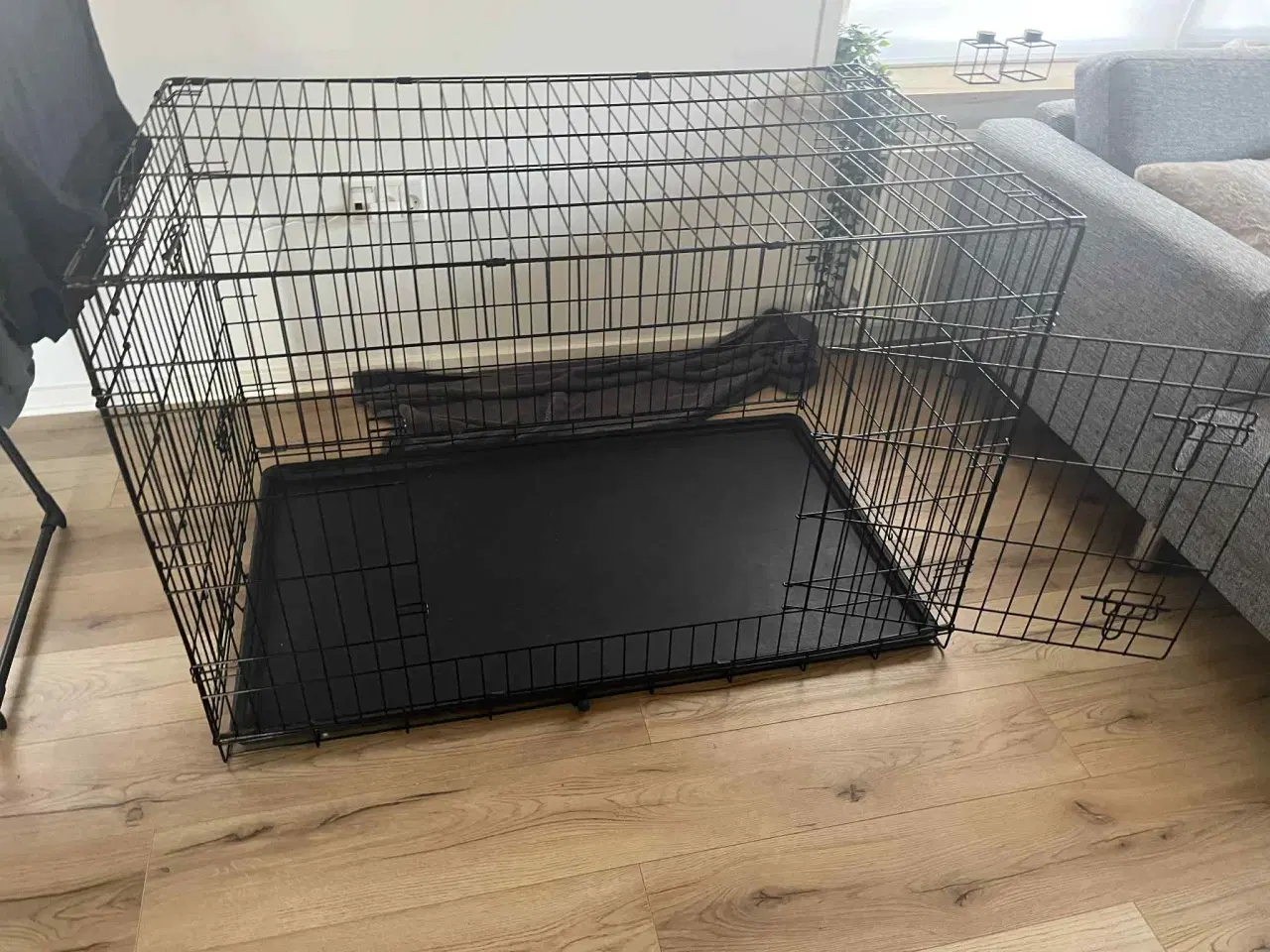 Billede 29 - Hundeting til salg 