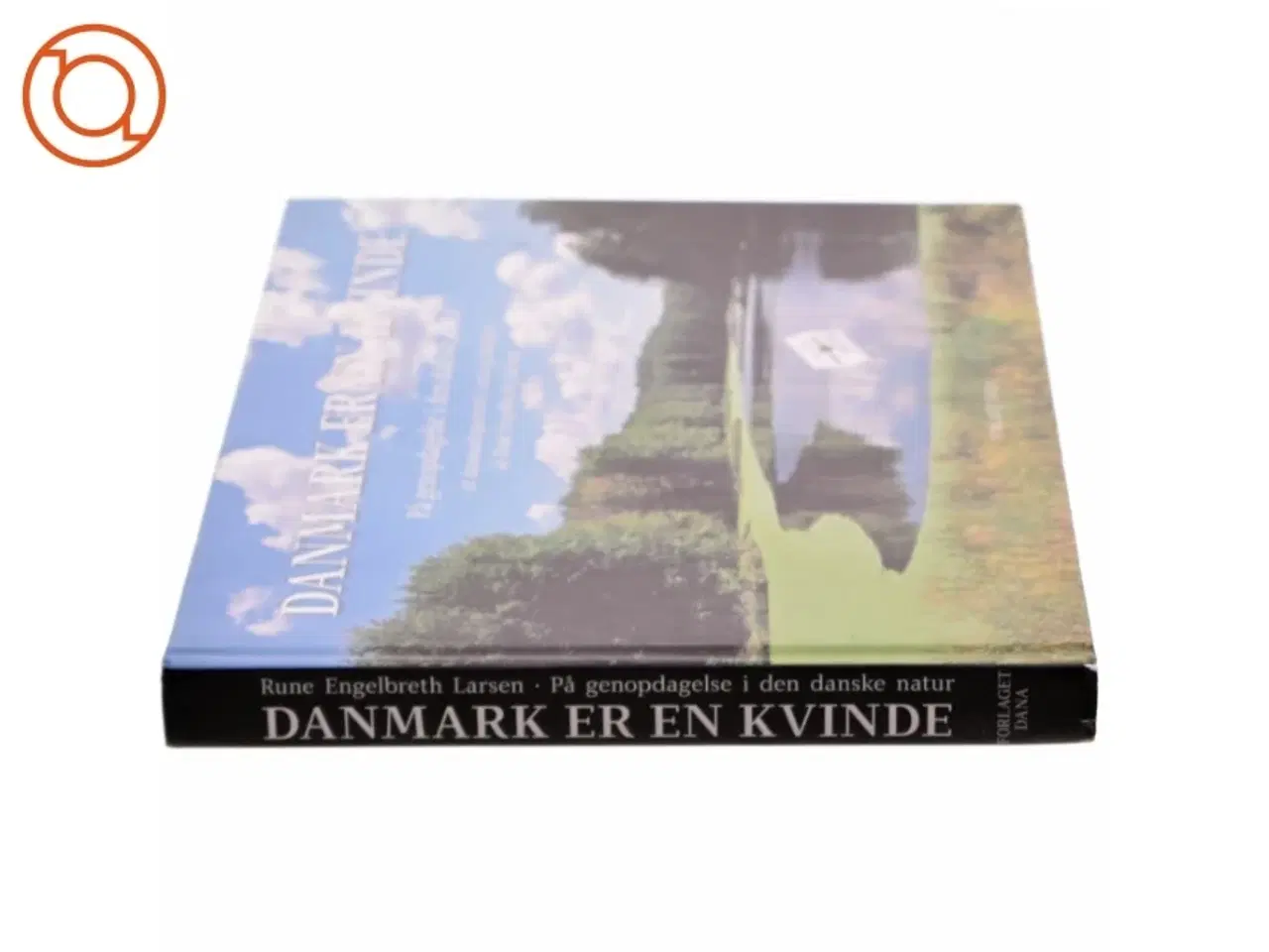 Billede 2 - Danmark er en kvinde af Rune Engelbreth Larsen (Bog)