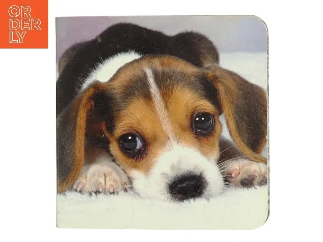 Billede 1 - Ukendt titel af John Rodsted (Bog)