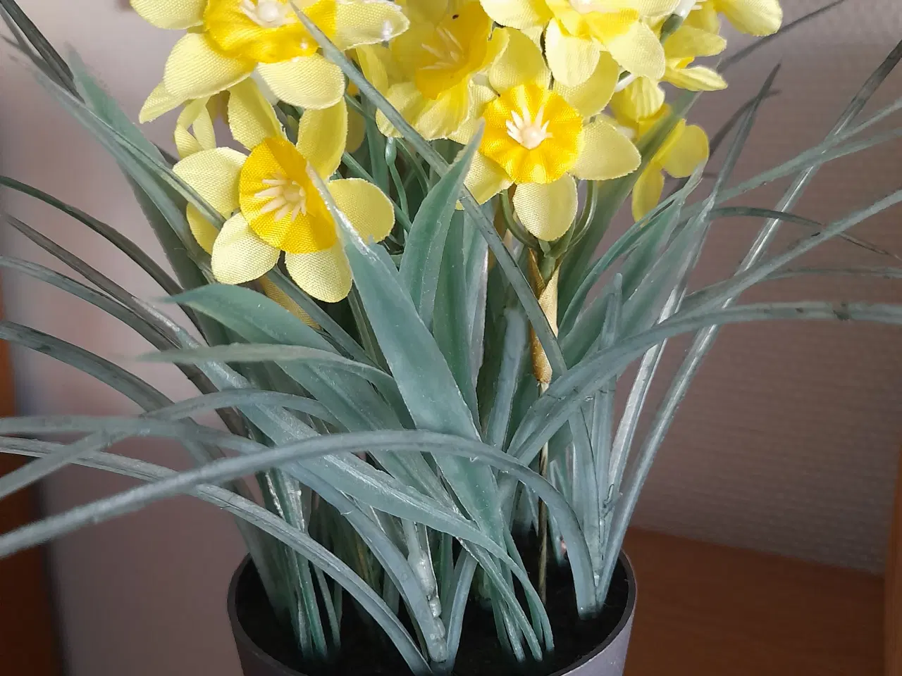 Billede 2 - Påskeliljer i urtepotte ( plastik)