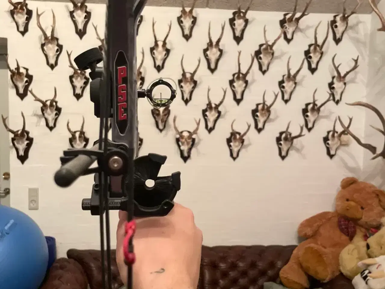 Billede 2 - Links buer 2 stk