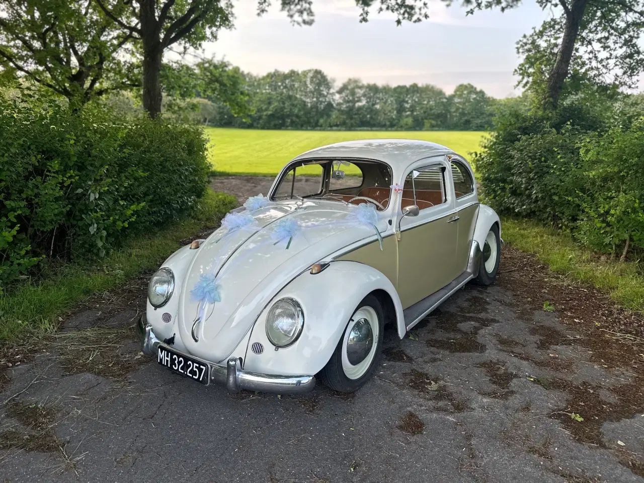 Billede 6 - Volkswagen 113 Deluxe 1960