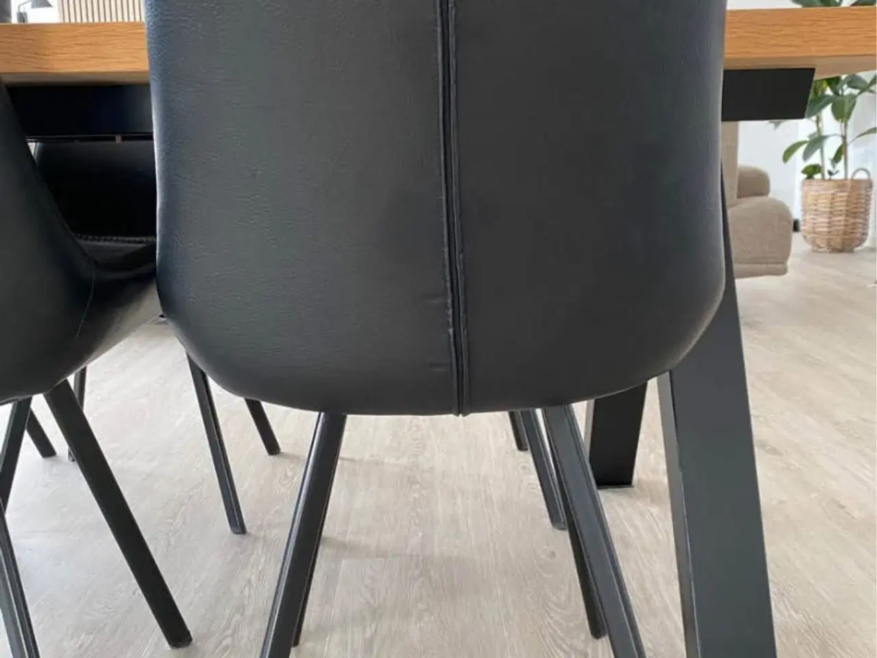 Billede 5 - Spisebord + 6 spisebordsstole