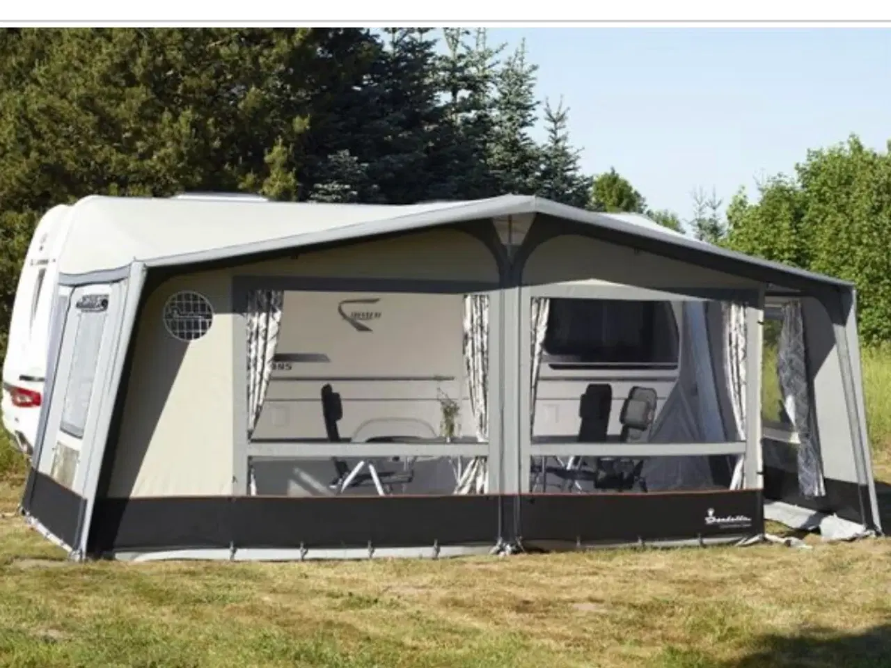 Billede 1 - Isabella Commodore Dawn