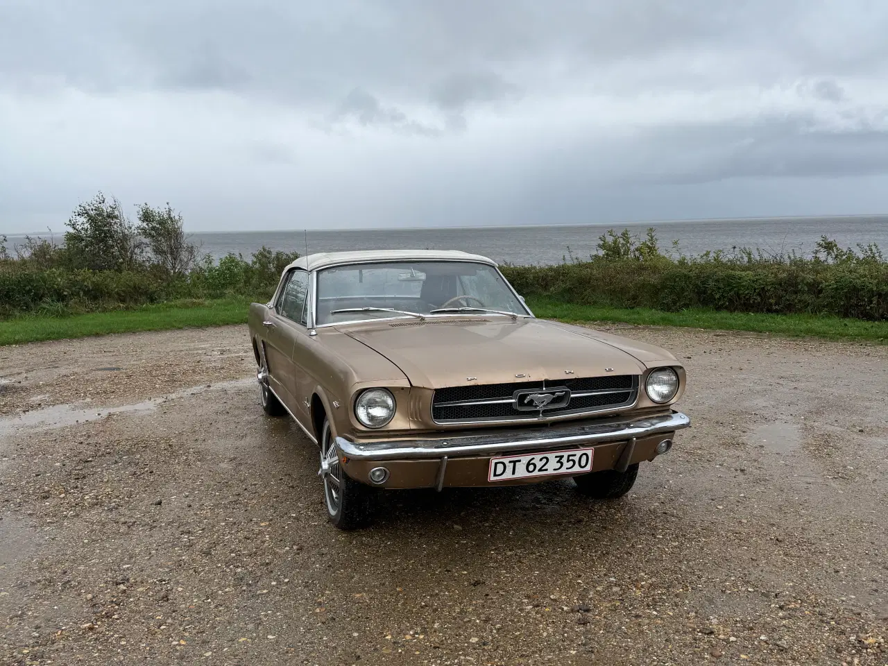Billede 8 - Ford Mustang V8 Convertible – årgang 1964½