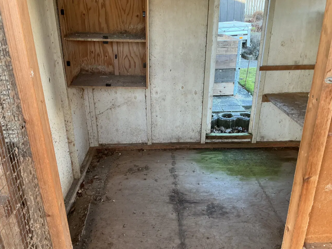 Billede 6 - Due/hønsehus ( gratis)