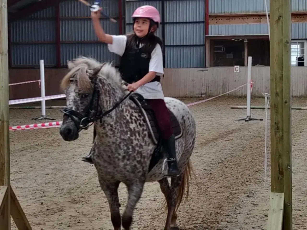 Billede 1 - Smuk knabstruppere hoppe kat. 3