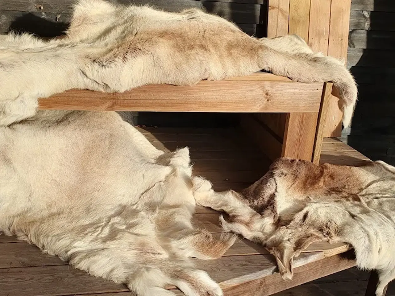 Billede 5 - Lækre rensdyrskind - varmt ligge-sidde underlag.