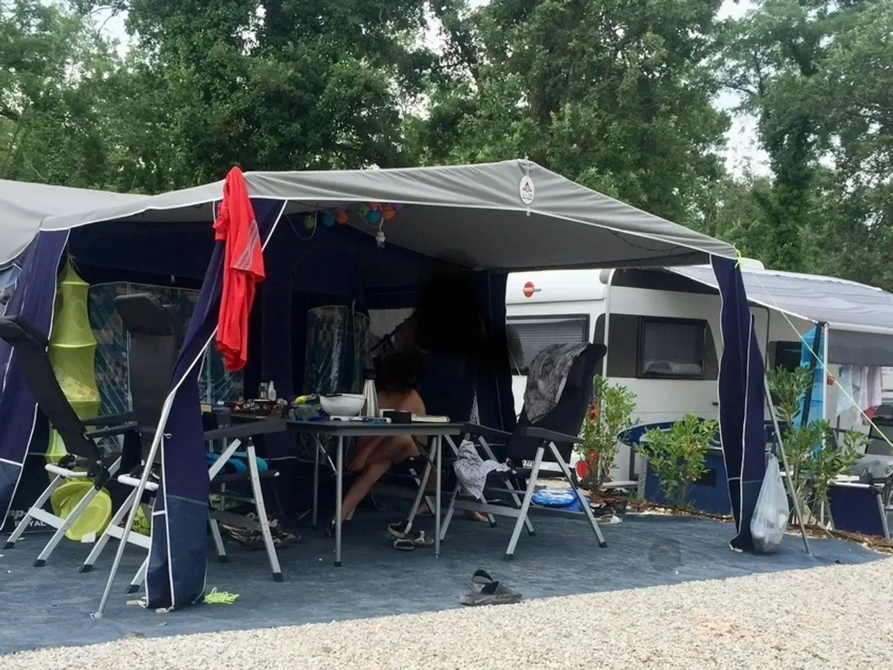 Billede 2 - Camplet Royal år 2007