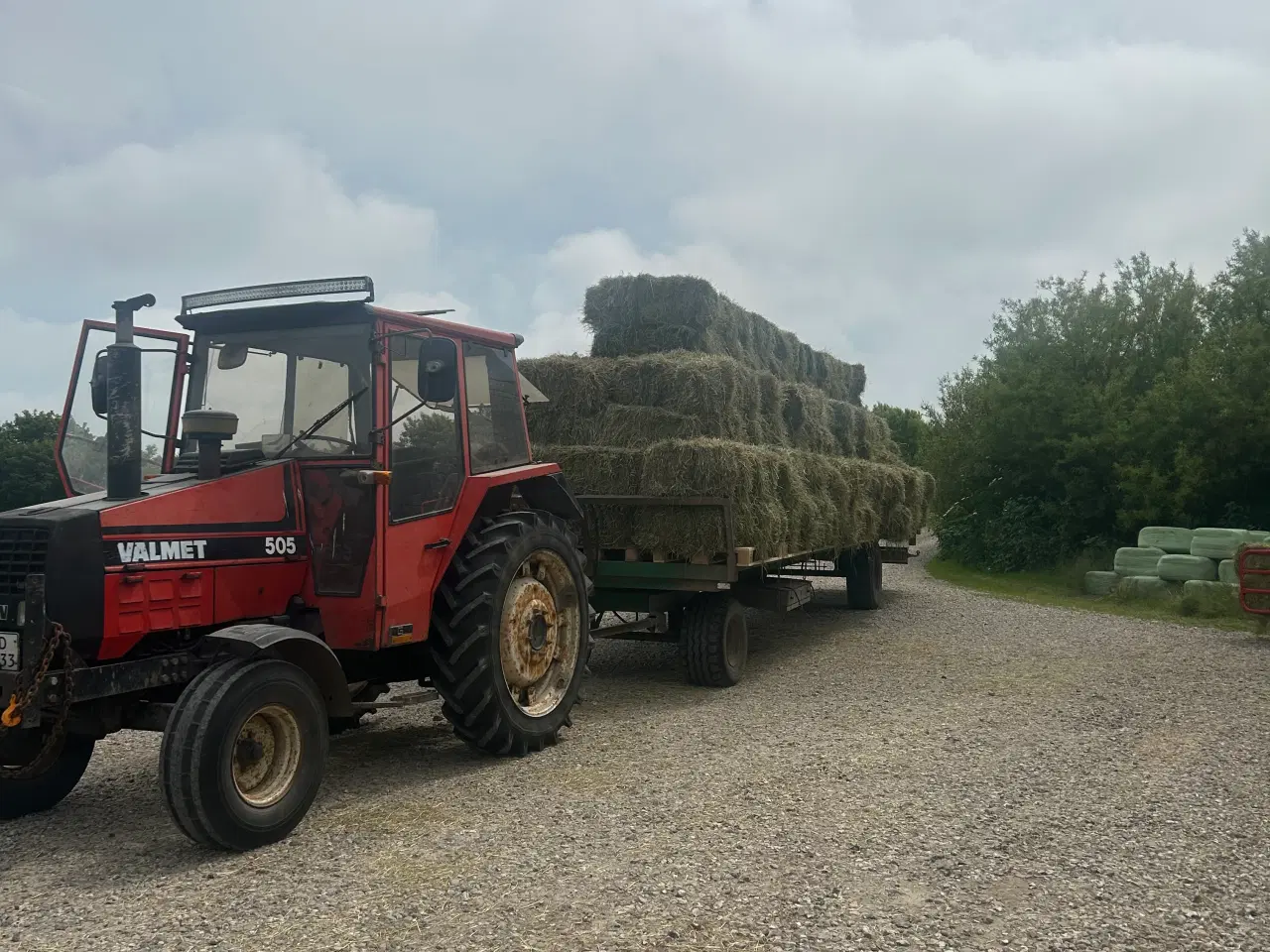 Billede 2 - Hø til mindre kvæg hold