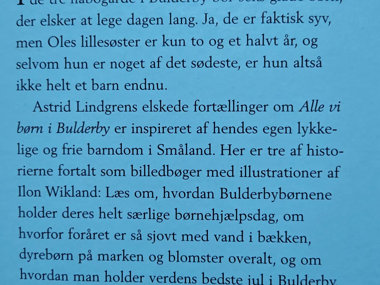 Billede 2 - Børnene i Bulderby BOG af Astrid Lindgren