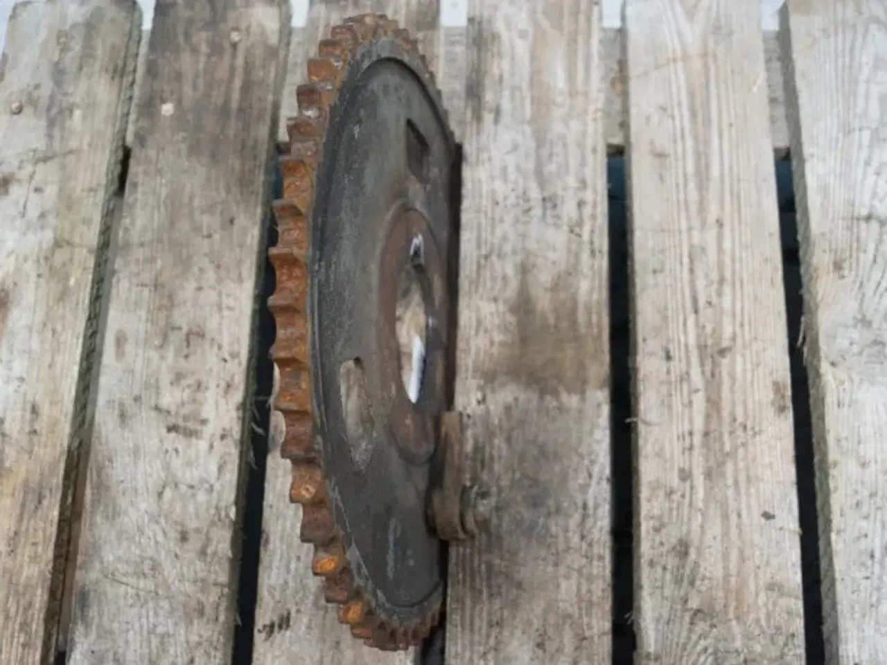 Billede 5 - Claas Dominator 76 Tandhjul 6701453