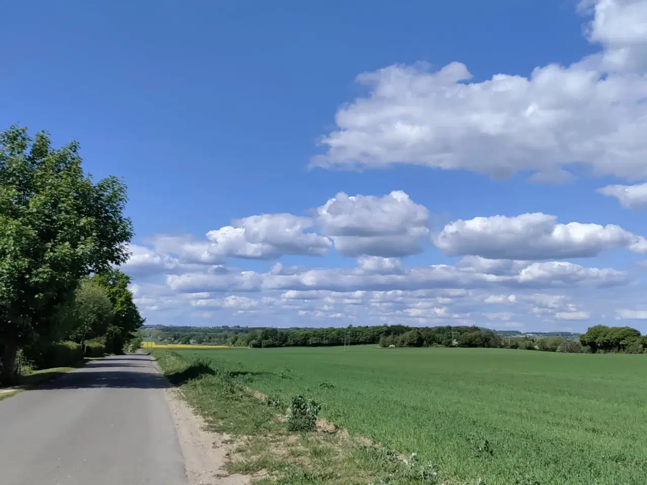 Billede 15 - KOLONIHAVE VED VORDINGBORG    – INGEN BOPÆLSPLIGT!