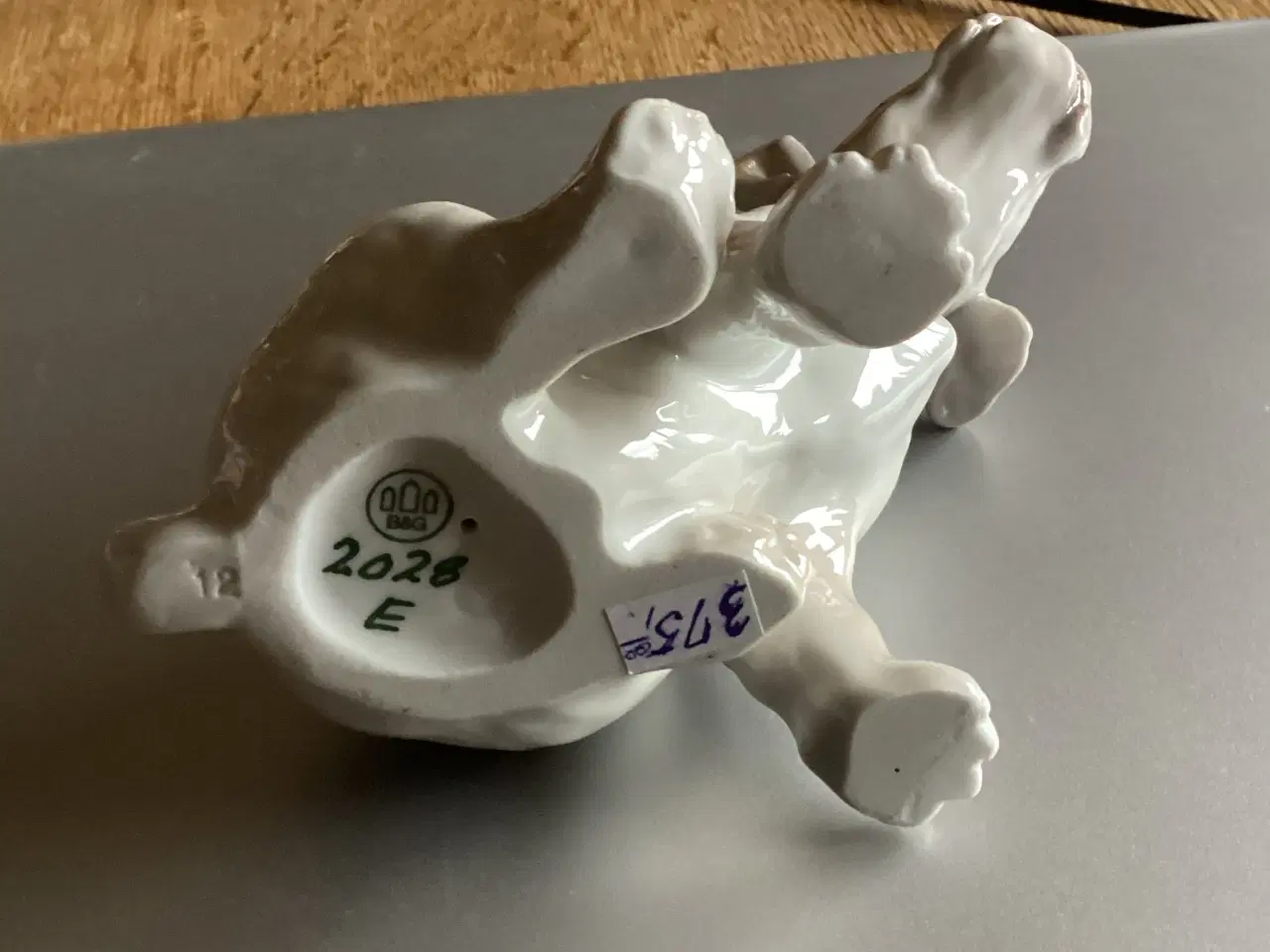 Billede 7 - BG Sealyham Hundehvalp