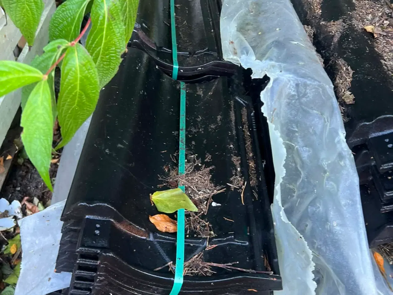 Billede 1 - Nibes H14 Edel engoberet sort.