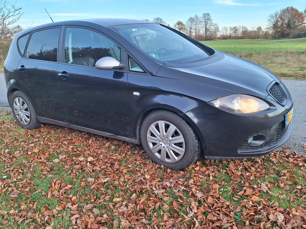 Billede 1 - Seat Altea 2.0 TDI Diesel