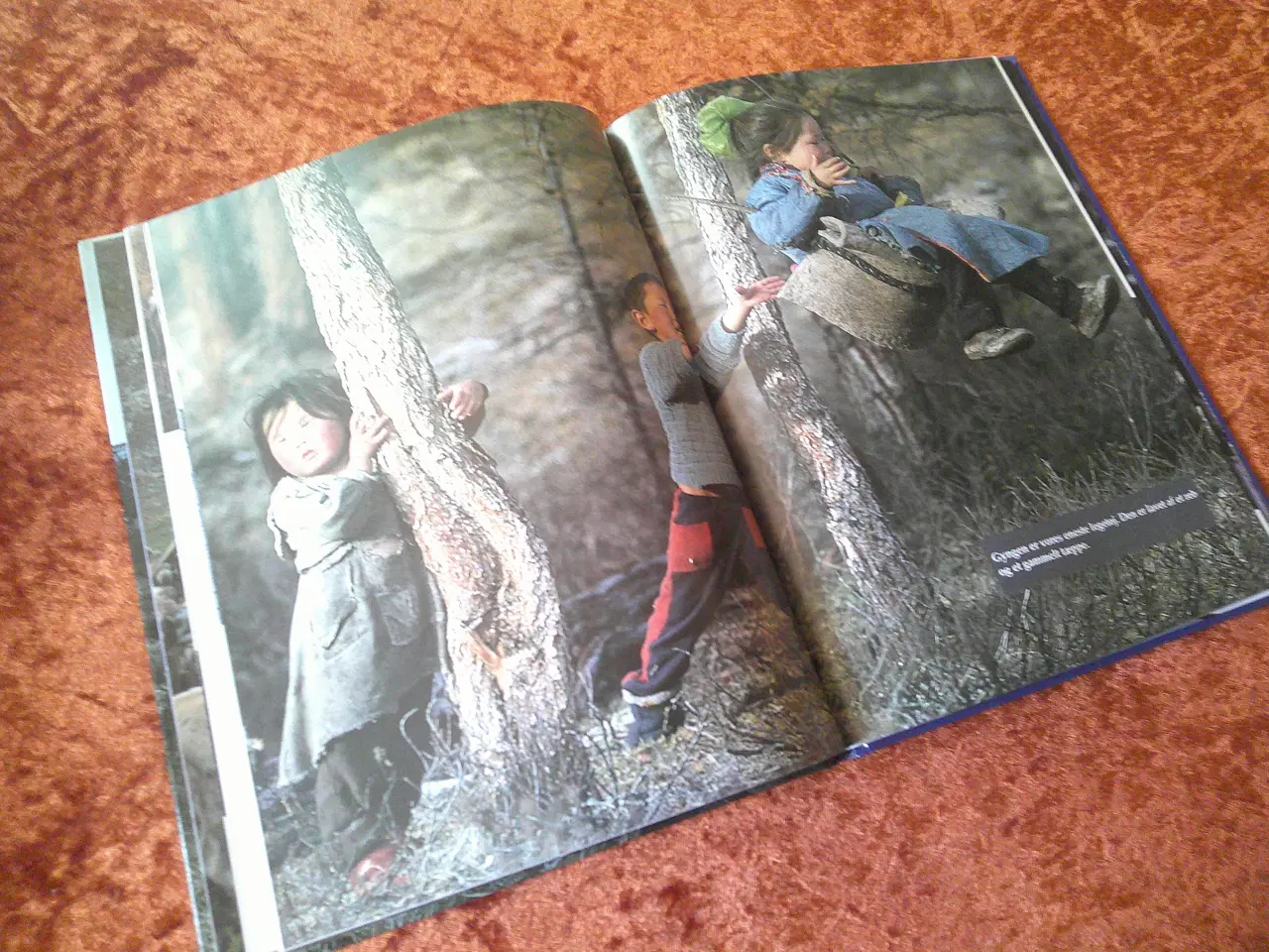 Billede 3 - Drengen i Taigaen, Blid Alsbirk