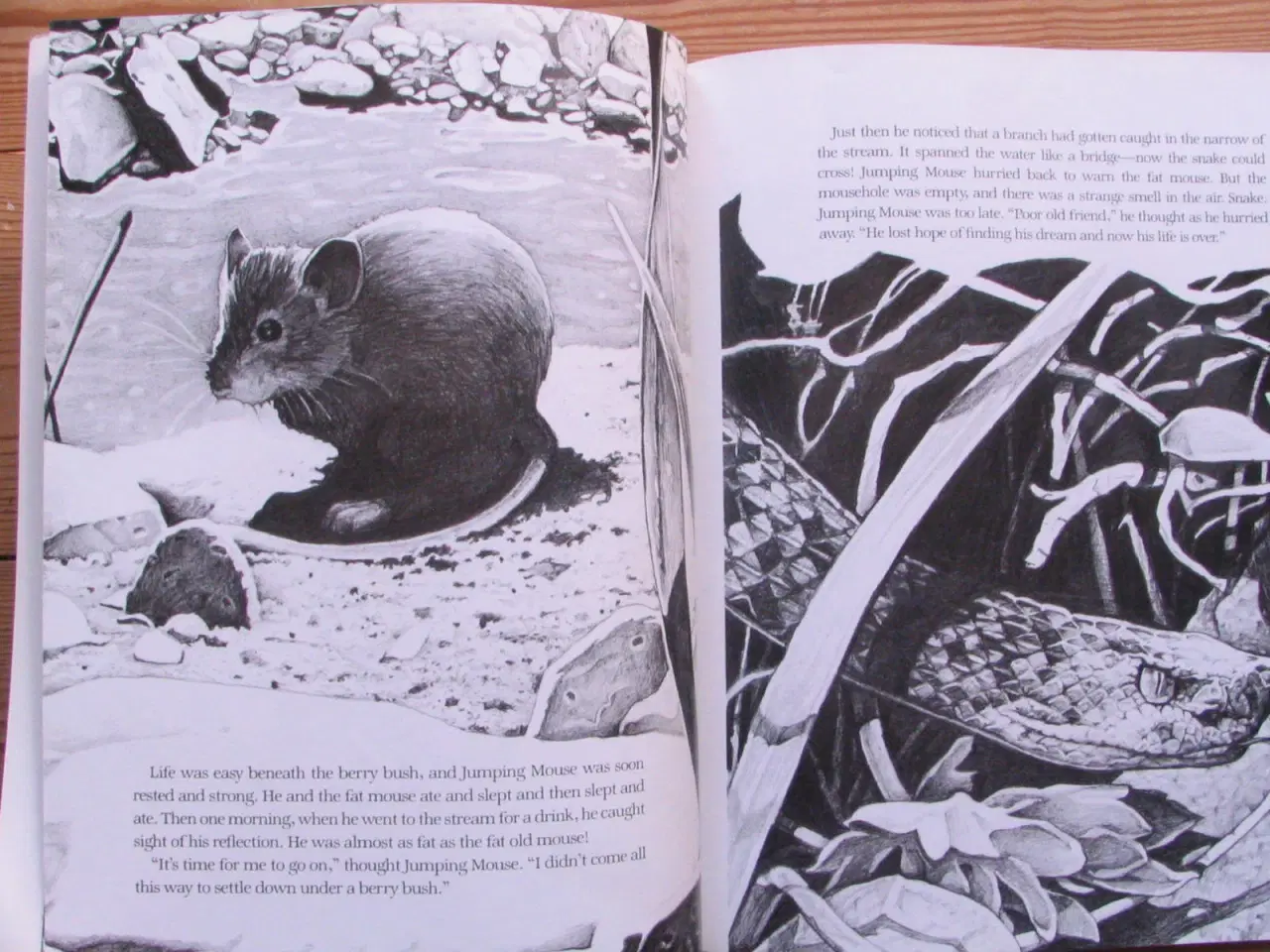 Billede 3 - The story of Jumping Mouse