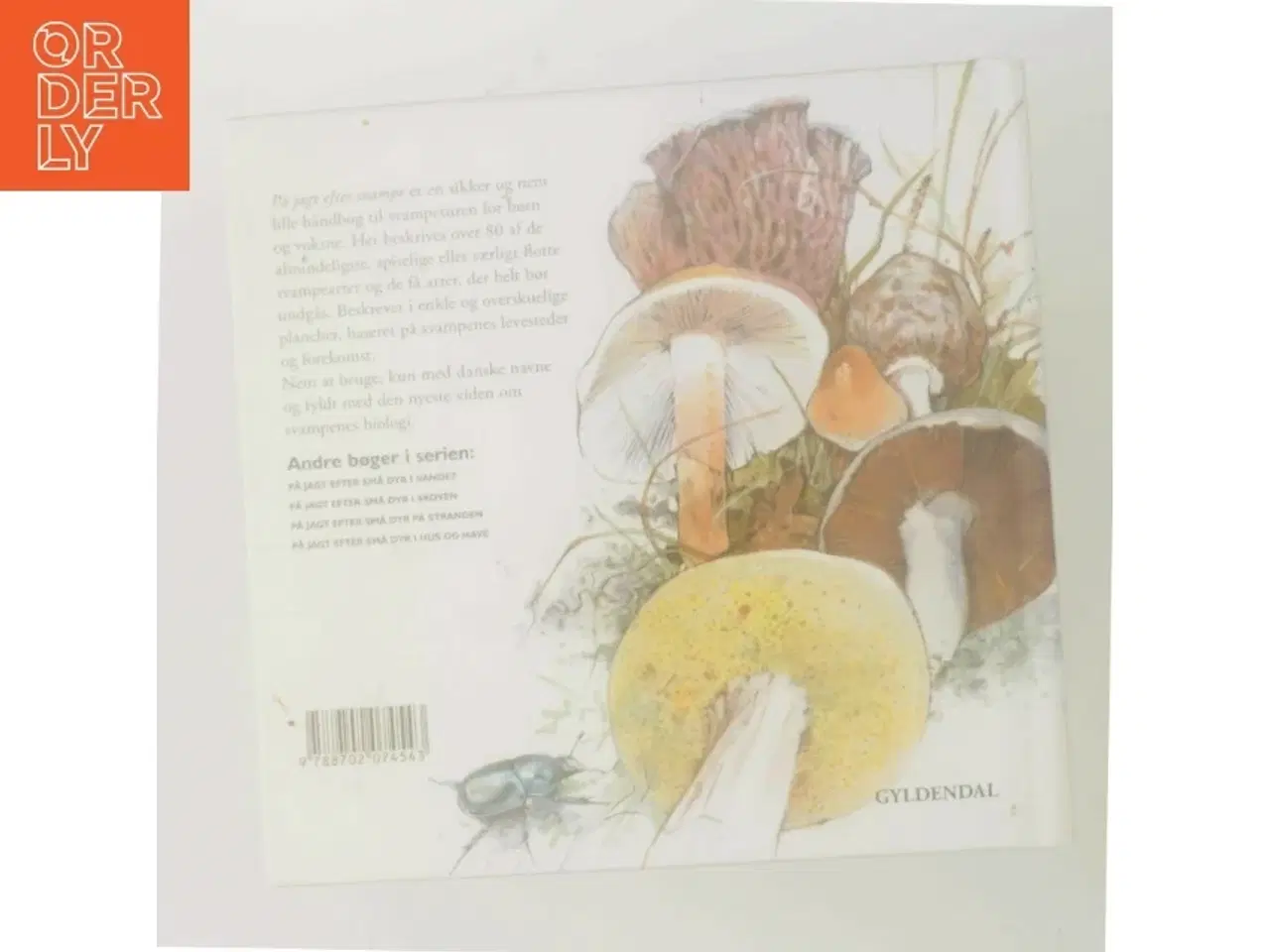 Billede 3 - På jagt efter svampe af Peter Nielsen (f. 1946-05-08) (Bog)