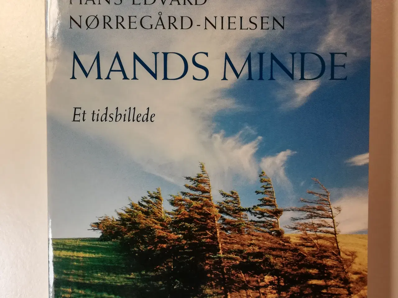 Billede 1 - Mands minde, af Hans Edvard Nørregård-Nielsen     