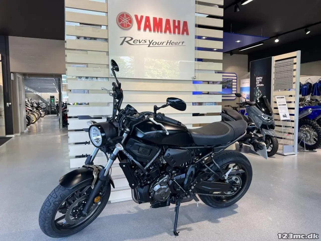 Billede 12 - Yamaha XSR 700