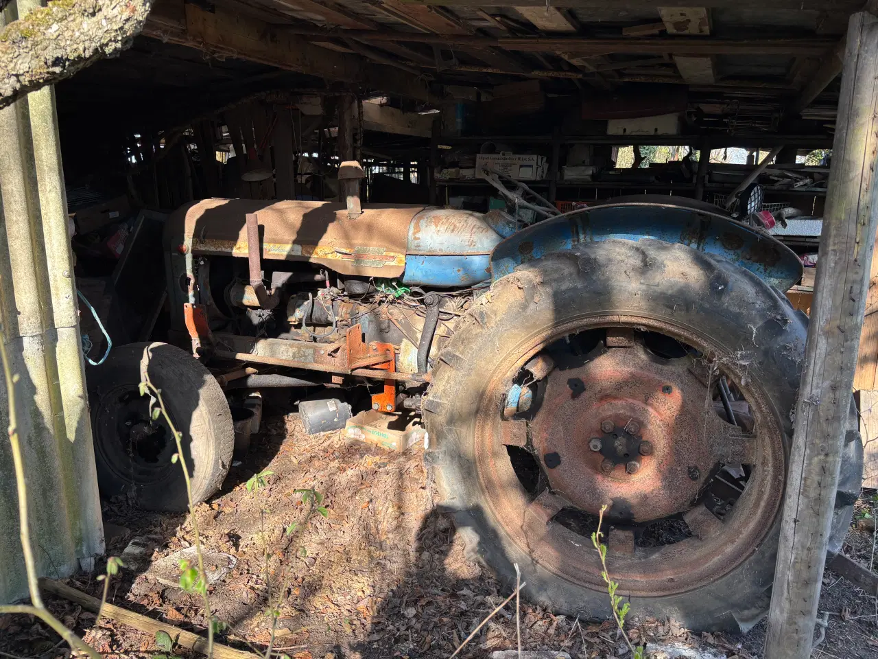 Billede 6 - Fordson Power Major