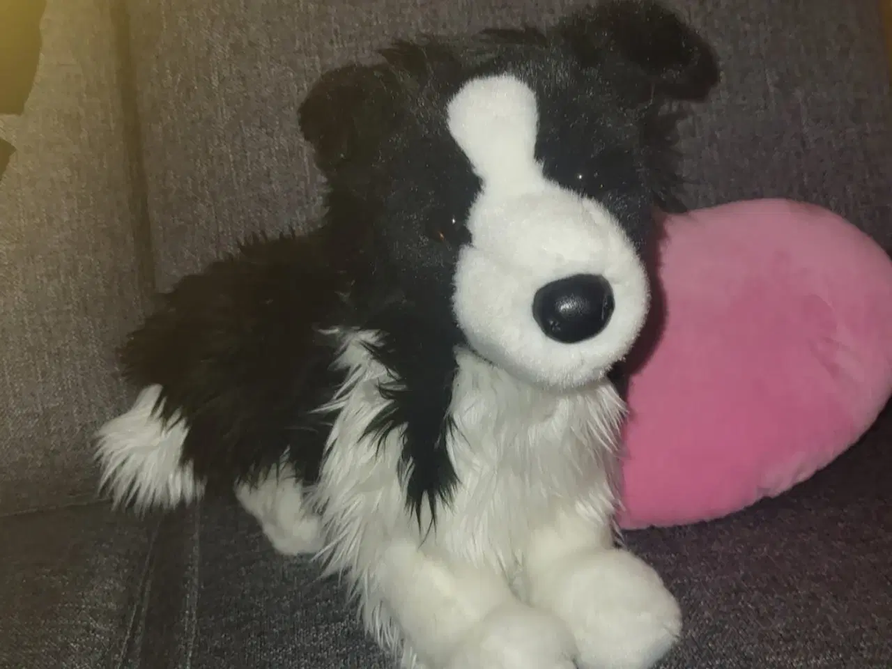 Billede 1 - Lille Border Collie Hundebamse