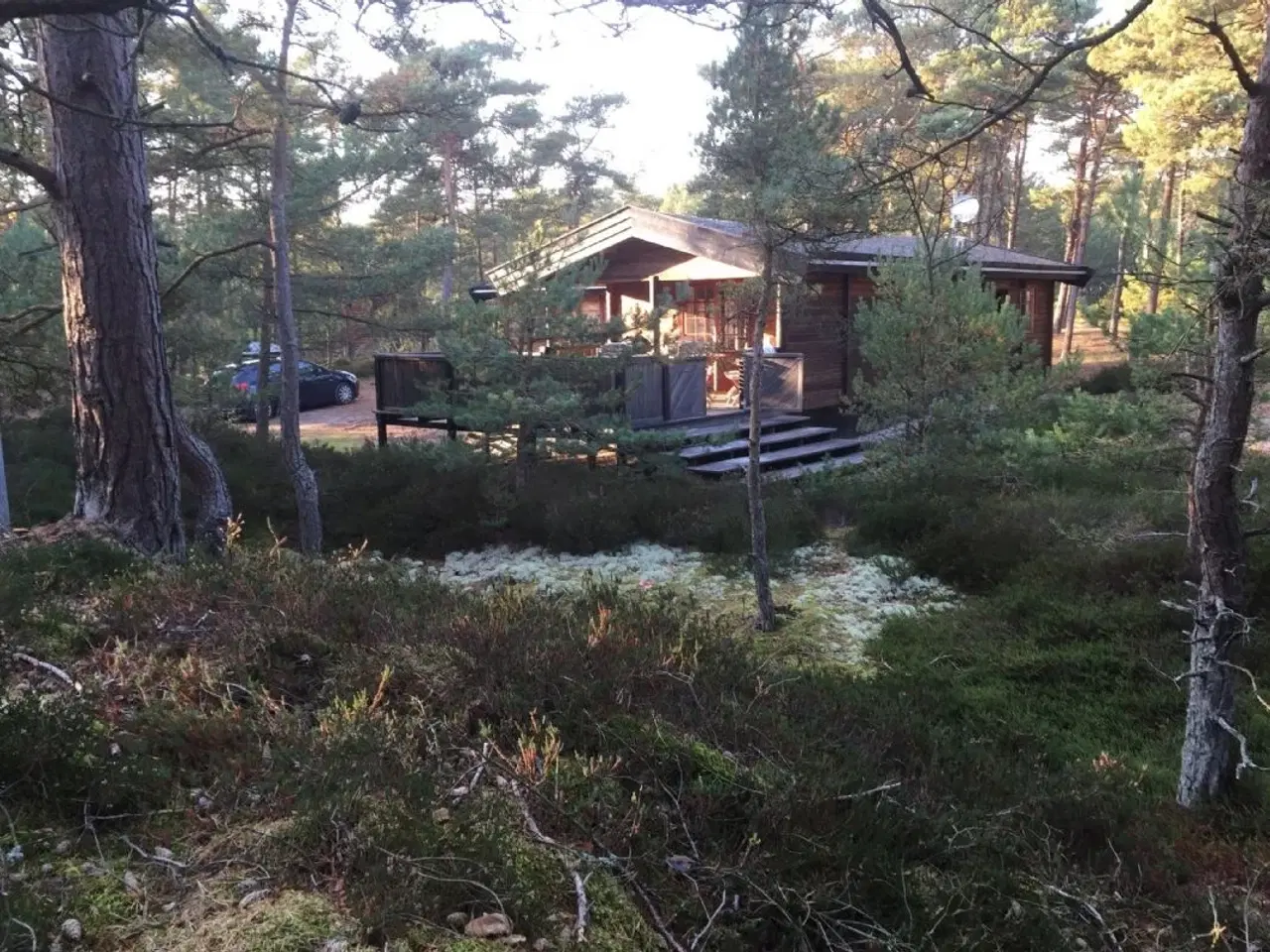 Billede 2 - Sommerhus på Dueodde, i rolige, naturskønne omgivelser nær dejlig badestrand.