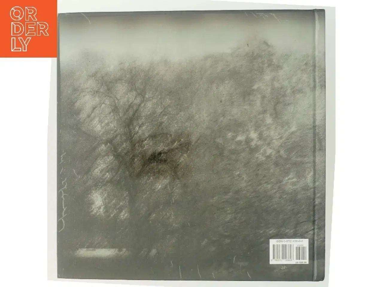 Billede 3 - Coincidence of memory af Viggo Mortensen (Bog)