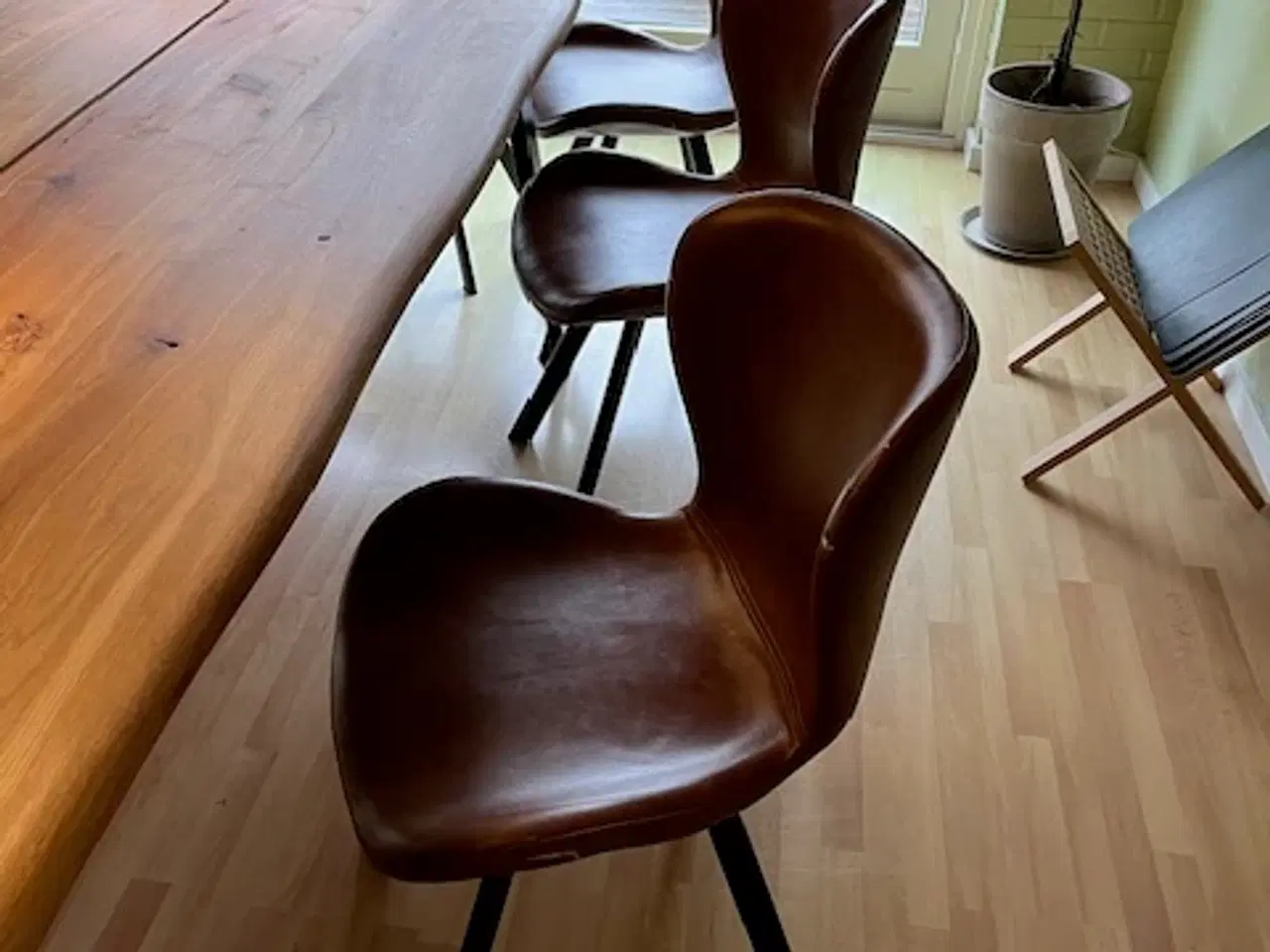Billede 1 - Spisebordsstole 8 stk