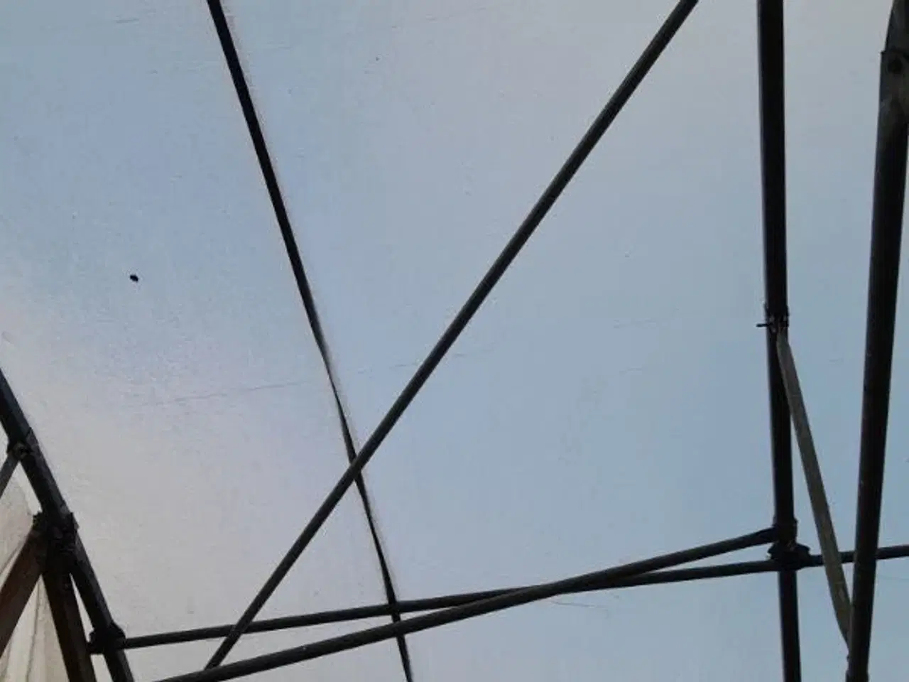 Billede 5 - Tunneldrivhus