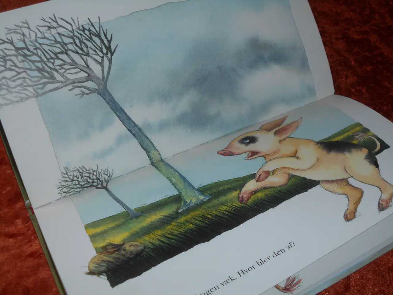 Billede 3 - Hvirvelvinden,  Birde Poulsen