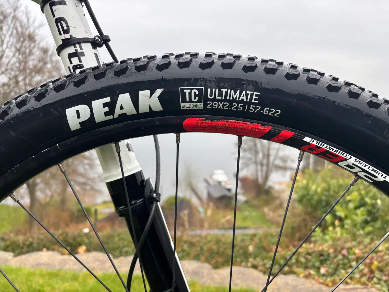 Billede 1 - Cannondale F29 Model 4 – Large – 29” Hardtail